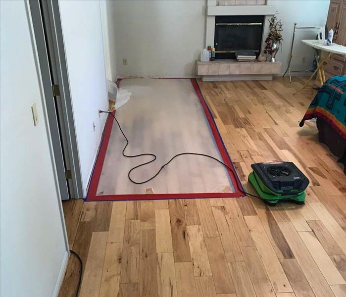 Wood Floor with green air movers.